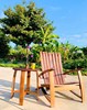 1 張焌營 陶醉休閒椅 茶几95x78x97‎  2件 51x51x58 1件 威士忌橡木酒桶 