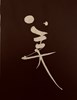 10 張焌營 美是心靈的觸動 34x26 木胎、生漆、蛋殼 