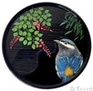 許玄昌 畫眉傳情 24X24cm 蒔繪 暈金