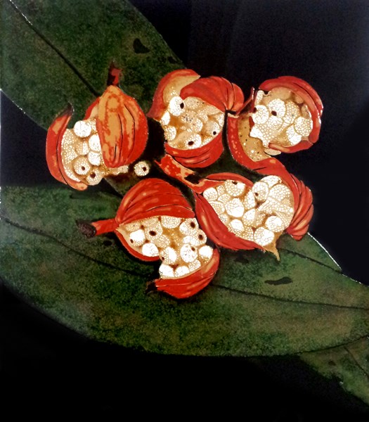 許玄昌 熟透了 28X24cm 天然漆 蛋殼 乾漆粉