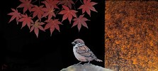 許玄昌－秋日風和 15X33cm 天然漆、暈金