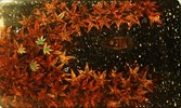 陳子鴻 江楓漁火映無眠 70X42X22cm 天然漆 木胎