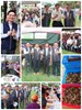 「豐原區客家粽香歡慶端午聯誼」活動