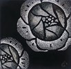 莊琦雯-花層10x10x0.5材質-樹漆.木.布.蛋殼